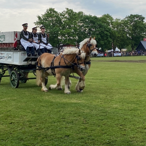 Mange forskellige hestevogne og herunder også den gamle ølvogn.