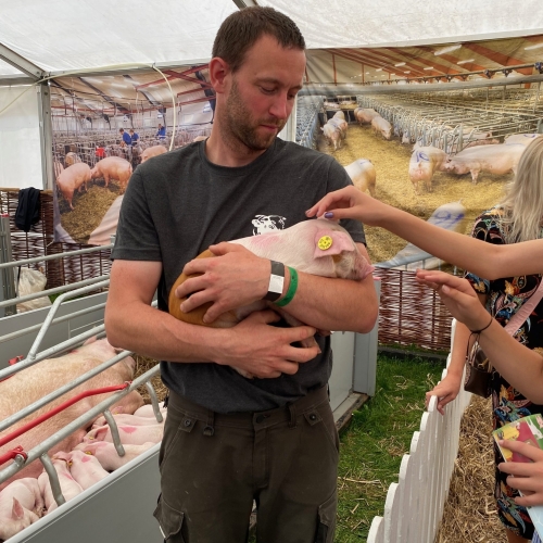 Og til den levende pattegris som skulle nusses.