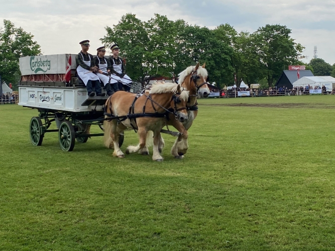 Mange forskellige hestevogne og herunder også den gamle ølvogn.