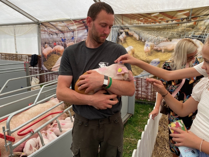 Og til den levende pattegris som skulle nusses.