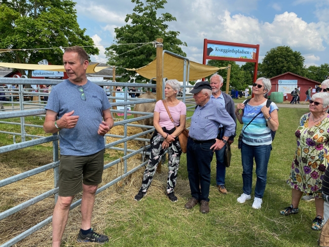 Villads Sørensen for en udstilling om kvæg som natureplejere.